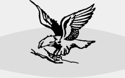 mascot
